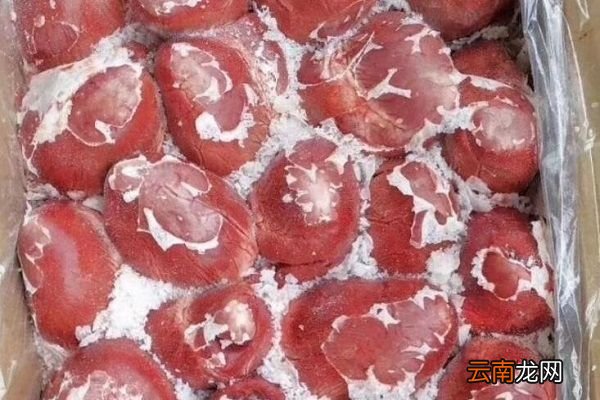 猪心汤的功效与作用 猪心汤的食用禁忌