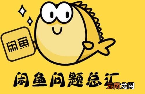 闲鱼app中退货具体操作方法