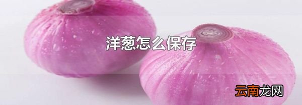 洋葱怎么保存
