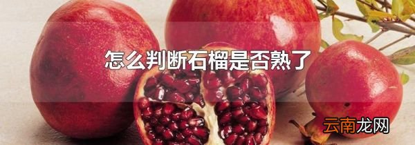 怎么判断石榴是否熟了
