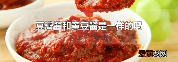 豆瓣酱和黄豆酱是一样的吗
