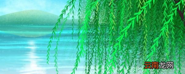 咏柳古诗原文及翻译赏析 咏柳古诗原文和翻译赏析