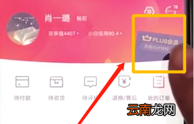京东中开通会员具体操作步骤