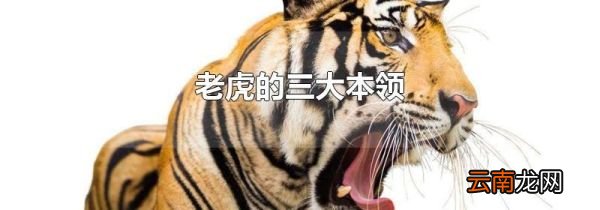 老虎的三大本领