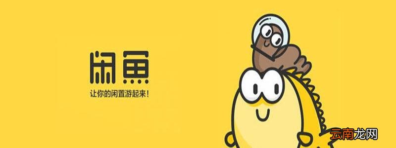 闲鱼app中搜用户具体操作方法