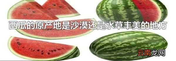 西瓜的原产地是沙漠还是水草丰美的地方