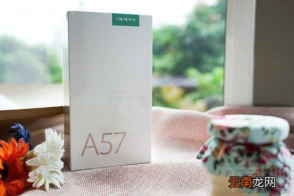 坚果pro和oppoa57哪个好？oppoa57和坚果pro区别对比