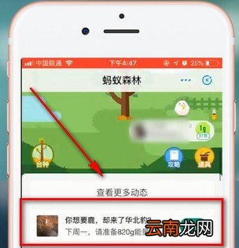 支付宝中蚂蚁森林领取华北豹具体操作方法