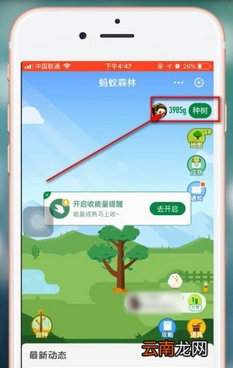 支付宝中蚂蚁森林领取华北豹具体操作方法
