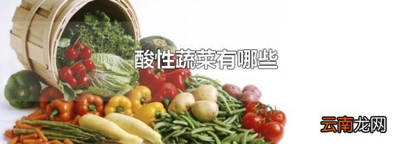 酸性蔬菜有哪些