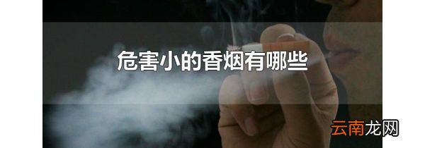 危害小的香烟有哪些