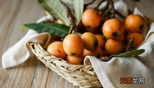 枇杷怎么吃 枇杷吃法