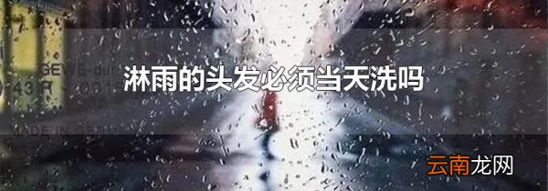 淋雨的头发必须当天洗吗