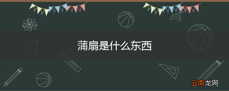 蒲扇是什么东西
