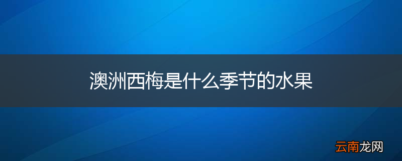 澳洲西梅是什么季节的水果