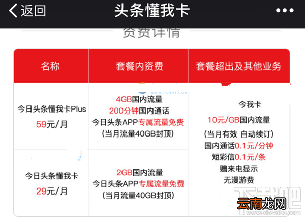 头条懂我卡可以申请几张？