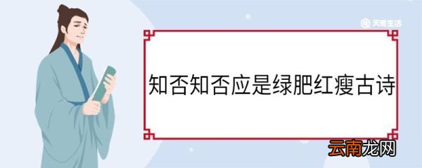 知否知否应是绿肥红瘦古诗 李清照词知否知否原文