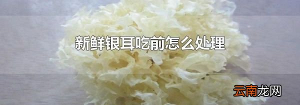 新鲜银耳吃前怎么处理