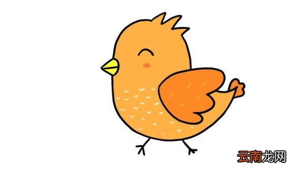 小鸡简笔画 小鸡简笔画怎么画