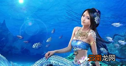 世界上真有美人鱼吗