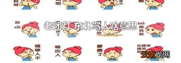 老闭灯 东北骂人啥意思