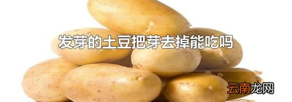 发芽的土豆把芽去掉能吃吗