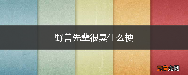 野兽先辈很臭什么梗