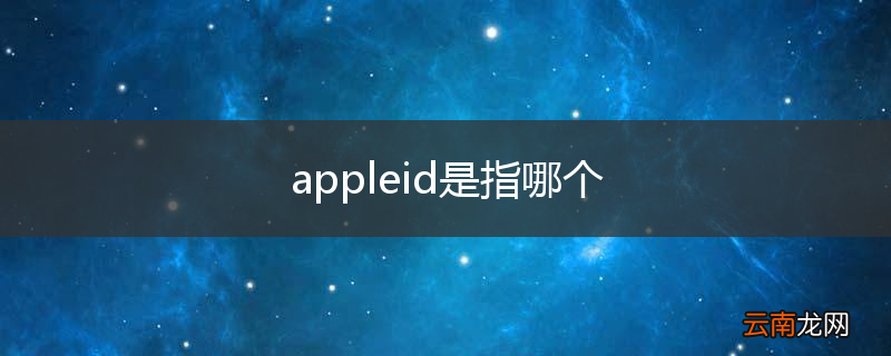 appleid是指哪个