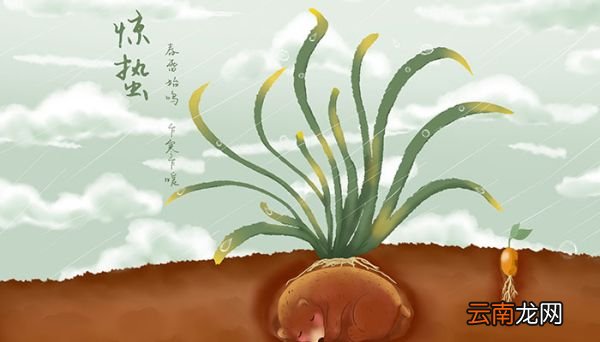 每年第一声春雷是什么时候 每年第一声春雷是啥时候