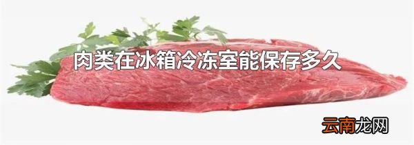 肉类在冰箱冷冻室能保存多久