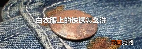 白衣服上的铁锈怎么洗