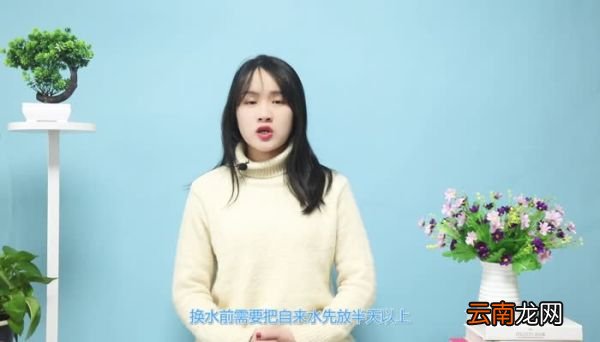 螃蟹吃什么螃蟹吃什么食物