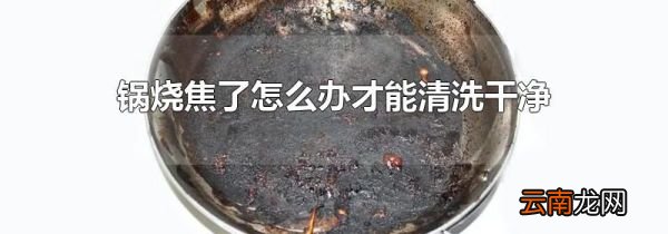 锅烧焦了怎么办才能清洗干净
