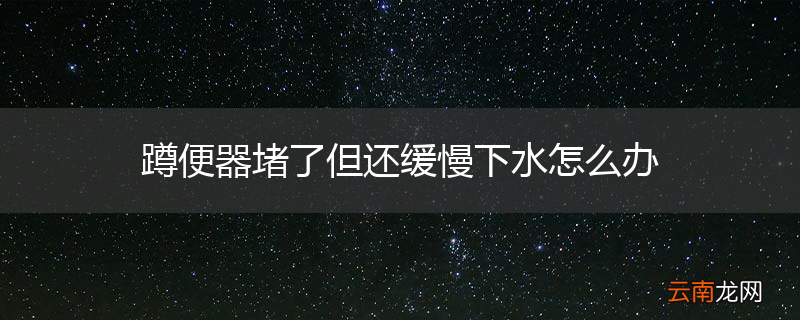 蹲便器堵了但还缓慢下水怎么办