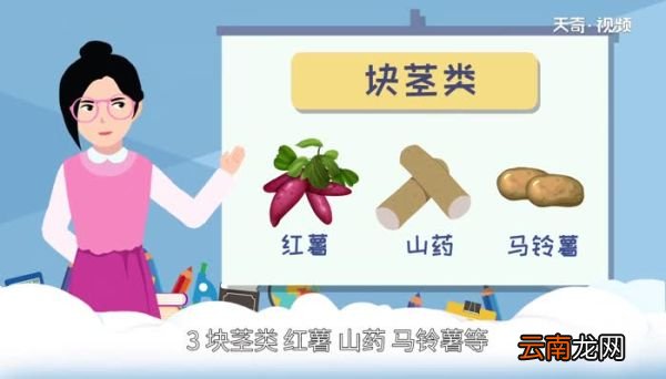 哪些是粗粮食物 粗粮食物有哪些