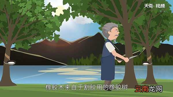 橡胶木和橡木的区别