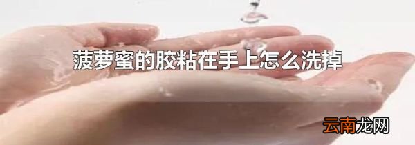 菠萝蜜的胶粘在手上怎么洗掉