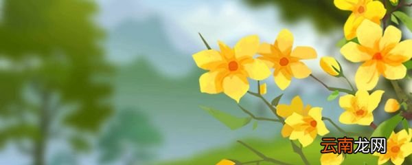 描写花草树木的优美句子 描写花草树木的句子