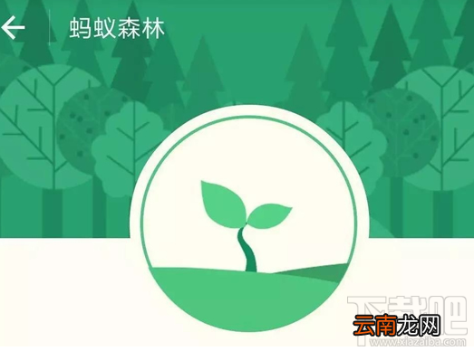 小米手环步数怎么同步到支付宝?