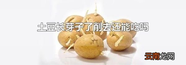 土豆长芽子了削去还能吃吗