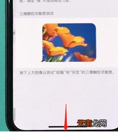 iphonexr中开启半屏功能的简单步骤