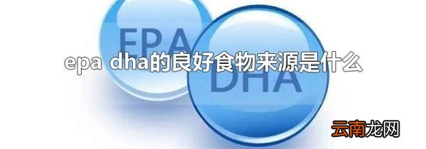 epa dha的良好食物来源是什么