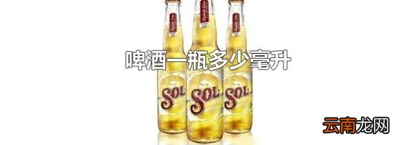 啤酒一瓶多少毫升