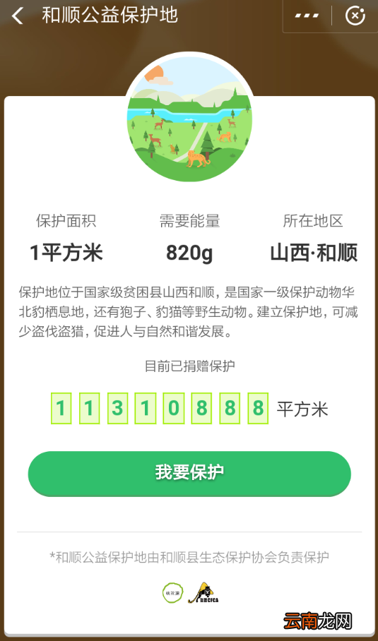 支付宝中蚂蚁森林不显示华北豹详细步骤