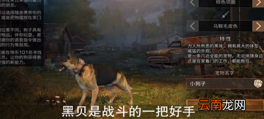明日之后中狗详细作用介绍
