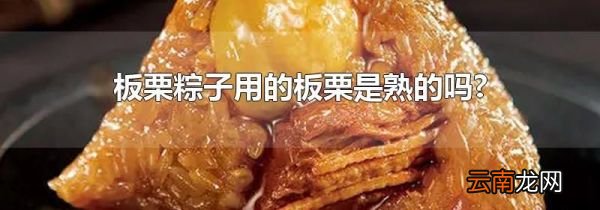 板栗粽子用的板栗是熟的吗?