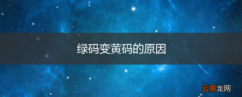 绿码变黄码的原因