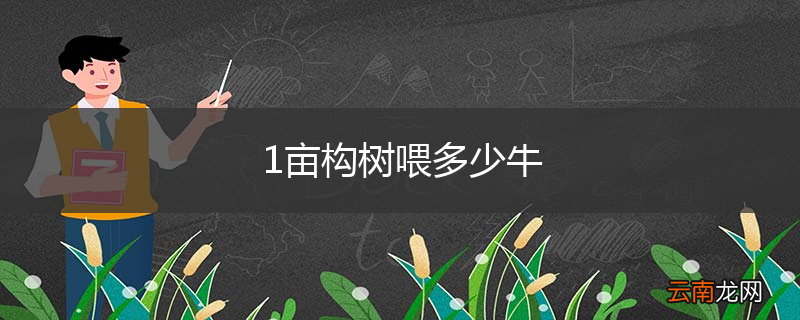 1亩构树喂多少牛