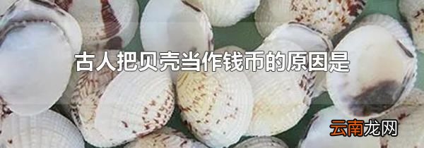 古人把贝壳当作钱币的原因是