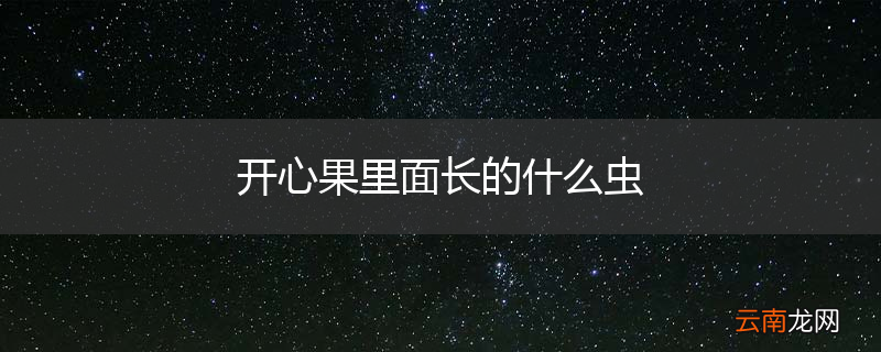 开心果里面长的什么虫